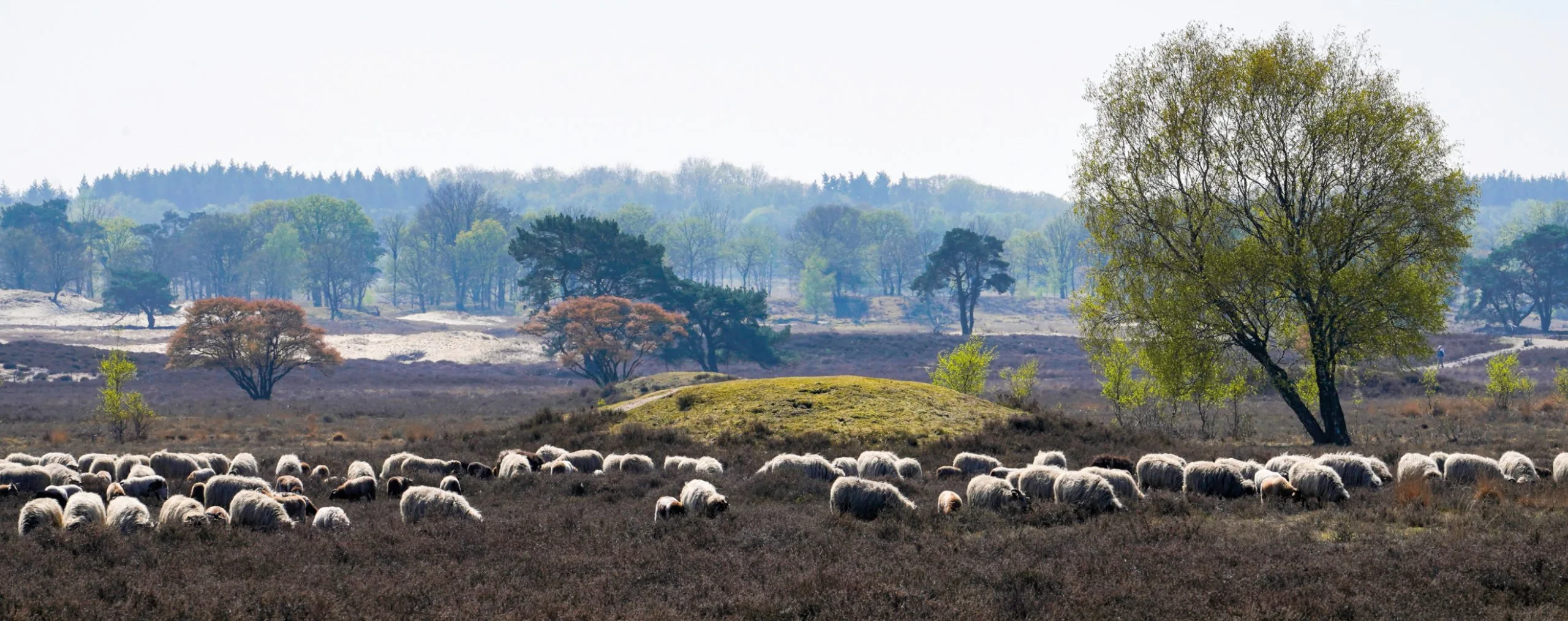 Heeren Makelaars verkoopmakelaar Het Gooi en Vechtstreek