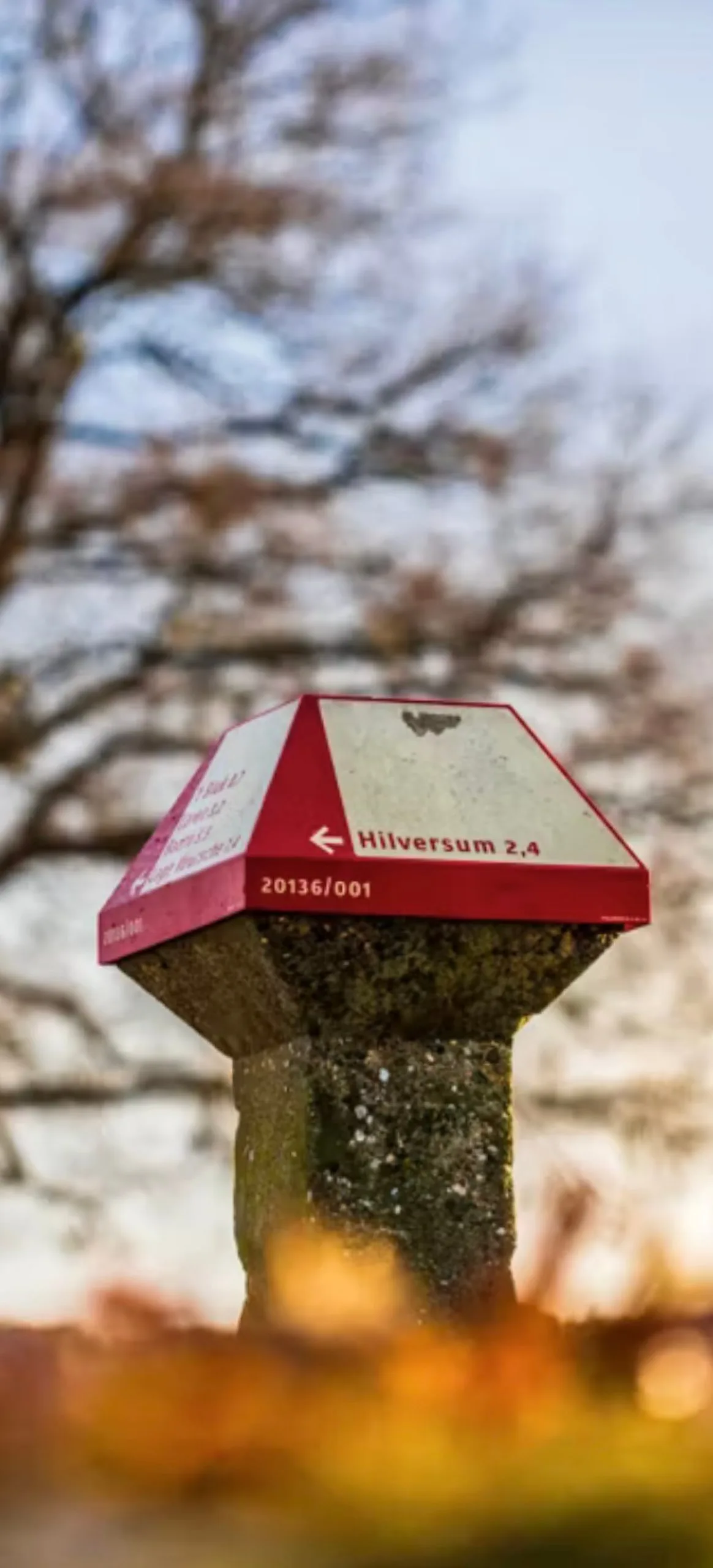 Het gooi middelpunt van de wereld 1e beeld