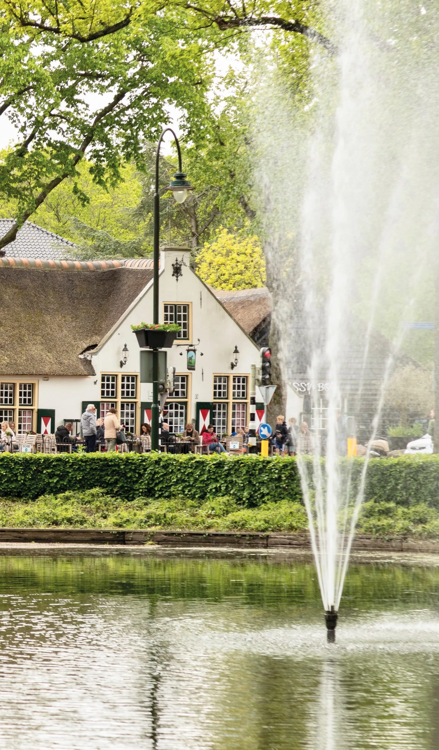 Laren brink bonte paard coewaerde